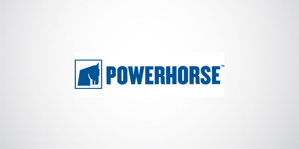 Powerhorse Generator